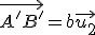 \vec{A'B'}=b\vec{u_2}