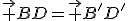 \vec {BD}=\vec {B'D'}
