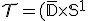 3$\cal{T}=(\bar{\mathbb{D}}\times\mathbb{S}^1)/(\mathbb{Z}/2\mathbb{Z})