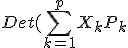 Det(\Bigsum_{k=1}^{p}X_kP_k)