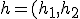 h=(h_1,h_2)\in \mathbb{R}^2