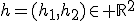 h=(h_1,h_2)\in \mathbb{R}^2