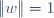 \|w\|=1