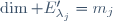 \dim E'_{\lambda_j}=m_j
