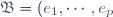\mathfrak{B}=(e_1,\cdots,e_p)