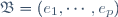 \mathfrak{B}=(e_1,\cdots,e_p)