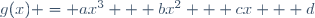 g(x) = ax^3 + bx^2 + cx + d