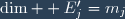 \dim  E'_j=m_j