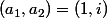 (a_1,a_2)=(1,i)