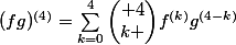 (fg)^{(4)}=\sum_{k=0}^{4}{\begin{pmatrix} 4\\k \end{pmatrix}}f^{(k)}g^{(4-k)}