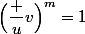 \Bigl(\dfrac uv\Bigr)^m=1