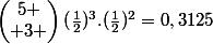 \begin{pmatrix}5 \\ 3 \end{pmatrix}(\frac{1}{2})^{3}.(\frac{1}{2})^{2}=0,3125
