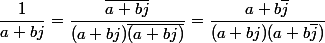 \dfrac{1}{a+bj}=\dfrac{\overline{a+bj}}{(a+bj)\overline{(a+bj)}}=\dfrac{a+b\bar{j}}{(a+bj)(a+b\bar{j})}