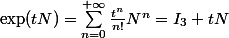 \exp(tN)=\sum_{n=0}^{+\infty}\frac{t^n}{n!}N^n=I_3+tN