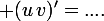 \large (u\,v)'=....