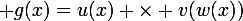 \large {g(x)=u(x) \times v(w(x))