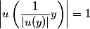 \left|u\left(\dfrac{1}{|u(y)|}y\right)\right|=1