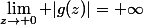 \lim_{z\to 0} |g(z)|=+\infty