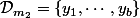 \mathcal{D}_{m_2}=\{y_1,\cdots,y_b\}