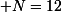 \small N=12