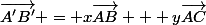 \vec{A'B'} = x\vec{AB} + y\vec{AC}