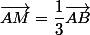 \vec{AM}=\dfrac{1}{3}\vec{AB}