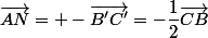 \vec{AN}= -\vec{B'C'}=-\dfrac{1}{2}\vec{CB}