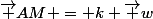 \vec {AM} = k \vec w