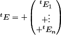 ^tE= \begin{pmatrix}^tE_1\\ \vdots\\ ^tE_n\end{pmatrix}