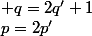 p=2p'; q=2q'+1