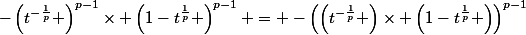 -\left(t^{-\frac{1}{p}} \right)^{p-1}\times \left(1-t^{\frac{1}{p}} \right)^{p-1} = -\left(\left(t^{-\frac{1}{p}} \right)\times \left(1-t^{\frac{1}{p}} \right)\right)^{p-1}