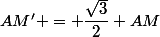 AM' = \dfrac{\sqrt{3}}{2} AM