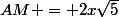 AM = 2x\sqrt{5}