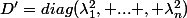 D'=diag(\lambda_1^2, ... , \lambda_n^2)