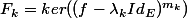 F_k=ker((f-\lambda_kId_E)^{m_k})