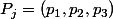P_j=(p_1,p_2,p_3)