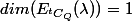 dim(E_{^tC_Q}(\lambda))=1