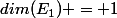dim(E_1) = 1