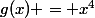 g(x) = x^4