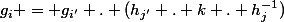 g_{i} = g_{i'} . (h_{j'} . k . h_{j}^{-1})
