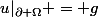 u|_{\partial \Omega} = g