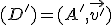 (D')=(A',\vec{v'})