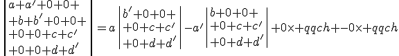 \|a a' 0 0 \\ b b' 0 0 \\ 0 0 c c'\\ 0 0 d d'\|=a\|b' 0 0 \\ 0 c c'\\ 0 d d'\|-a'\|b 0 0 \\ 0 c c'\\ 0 d d'\|+0\times qqch -0\times qqch