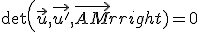 \det{\left(\vec{u},\vec{u'},\vec{AM}\right)}=0