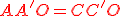 \red AA'O = CC'O
