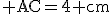 \rm AC=4 cm