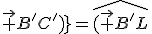 \widehat{(\vec {B'D'};\vec {B'C'})}=\widehat{(\vec {B'L};\vec {B'C'})}=\widehat{(\vec {H1L};\vec {H1C'})}