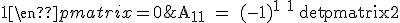 \textrm A_{11} = (-1)^{1+1} \det\begin{pmatrix}2&2\\1&1\end{pmatrix} = 0