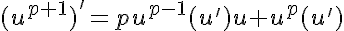 5$(u^{p+1})'=pu^{p-1}(u')u+u^p(u')