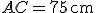 AC=75\,\text{cm}